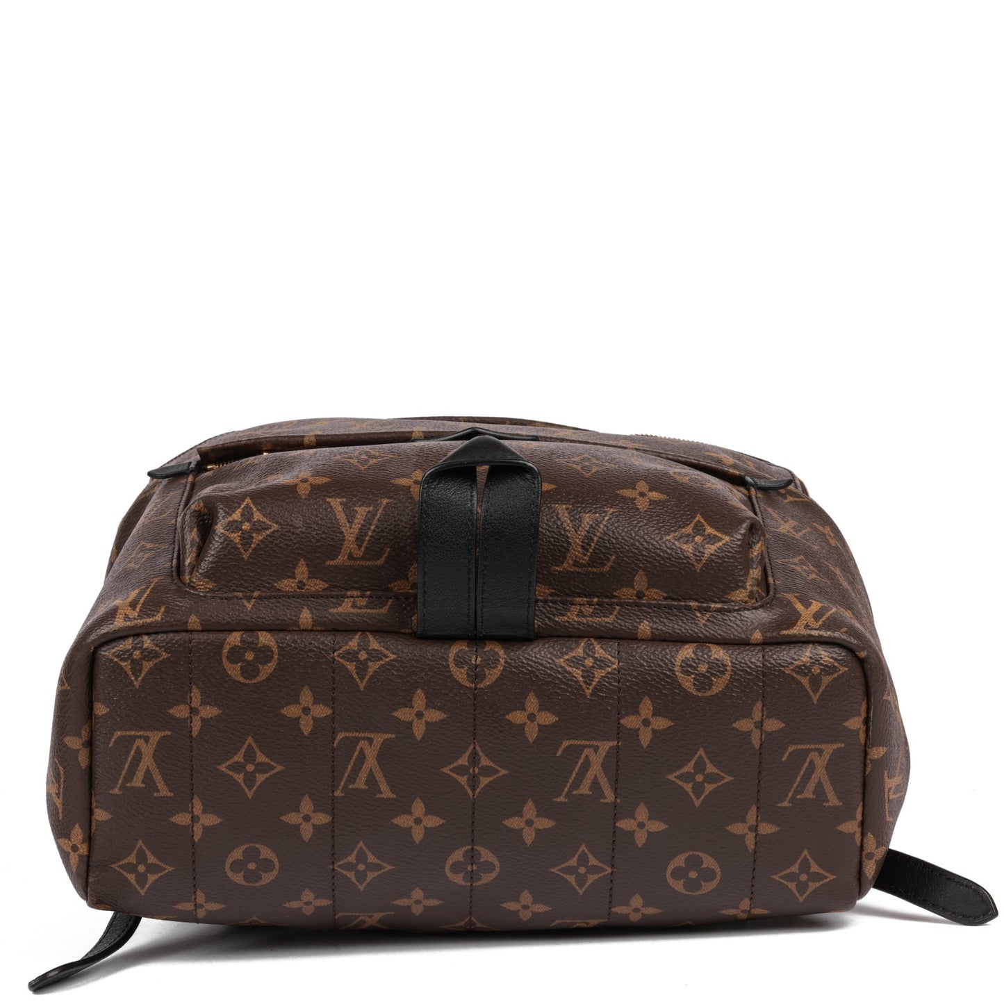 Louis Vuitton Brown Monogram Coated Canvas & Black Calfskin Leather Palm Springs Backpack MM Backpack