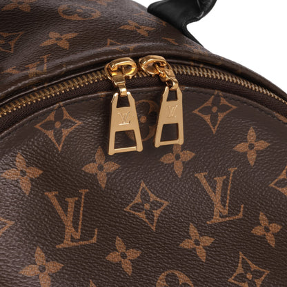 Louis Vuitton Brown Monogram Coated Canvas & Black Calfskin Leather Palm Springs Backpack MM Backpack