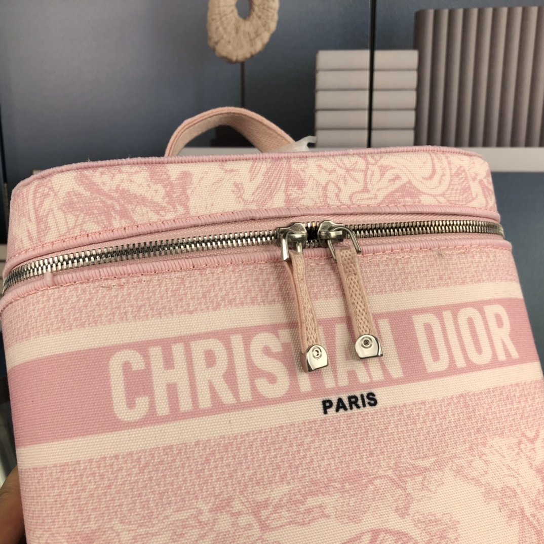 Barnes - Luxury Handbags Christian Dior 297