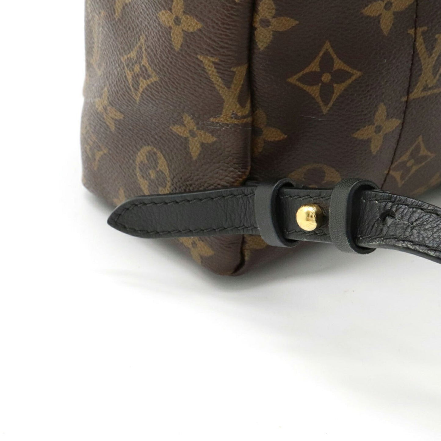 Louis Vuitton Monogram Reverse Palm Springs Backpack PM Rucksack Leather M44870