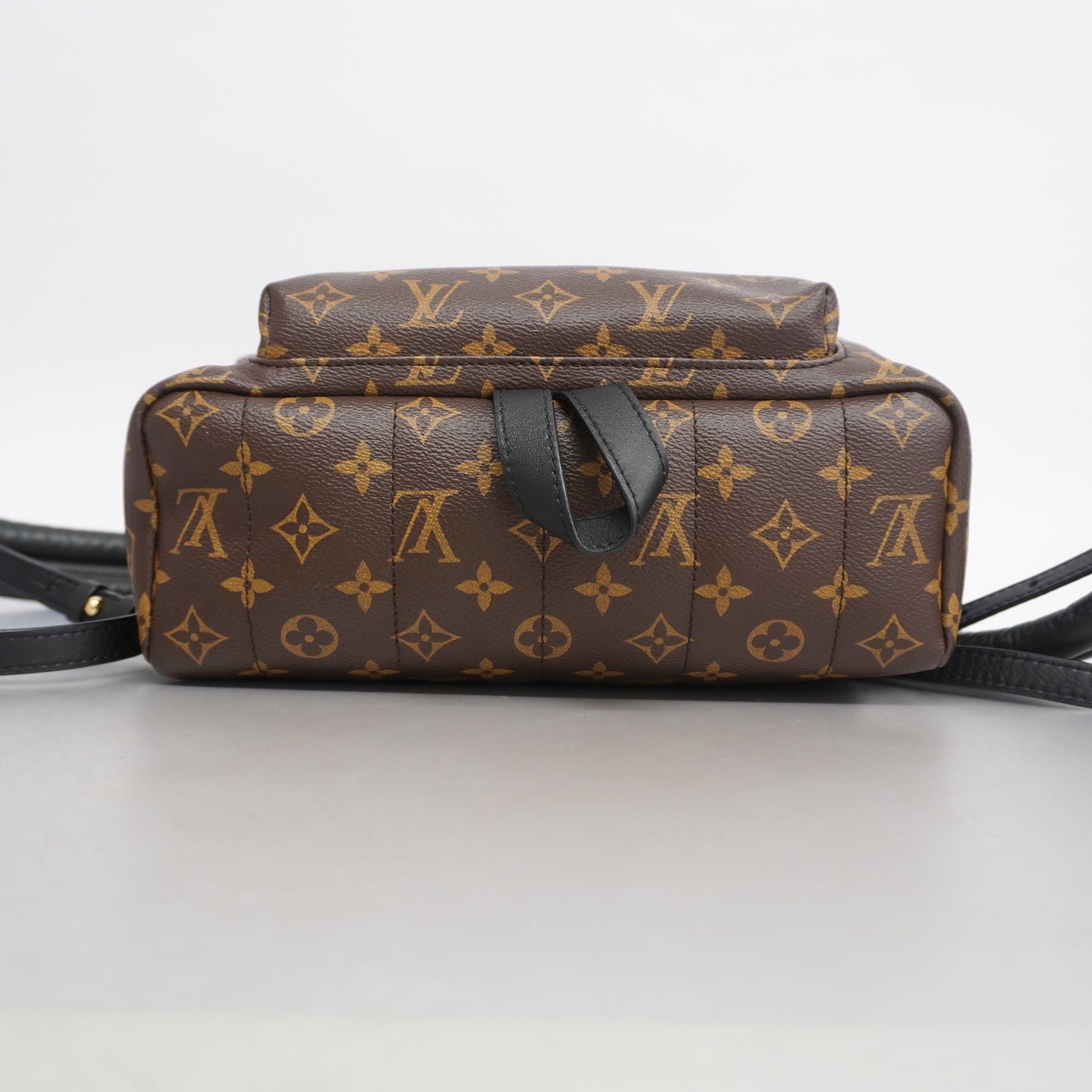 Louis Vuitton Monogram Palm Springs Bag Pack MM M44874