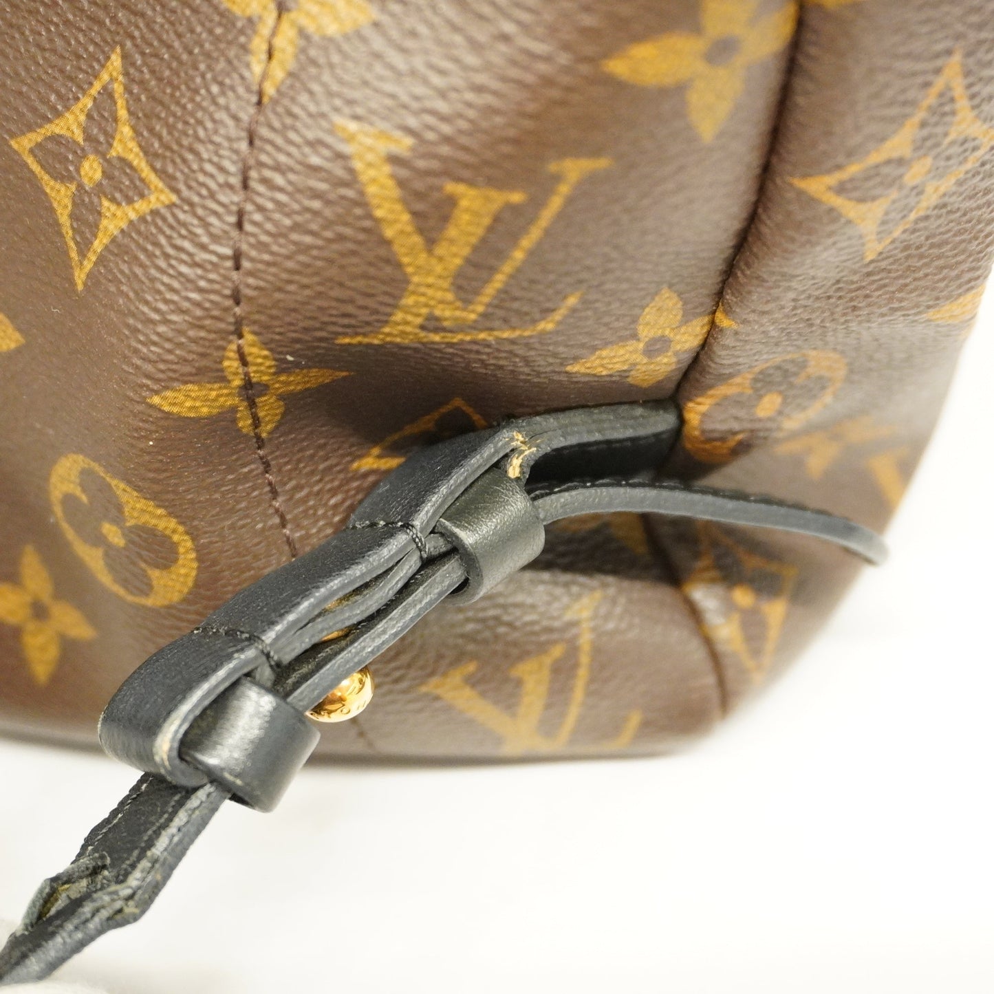 LOUIS VUITTON  Monogram Palm Springs MM M41561 Men,Women,Unisex Backpack