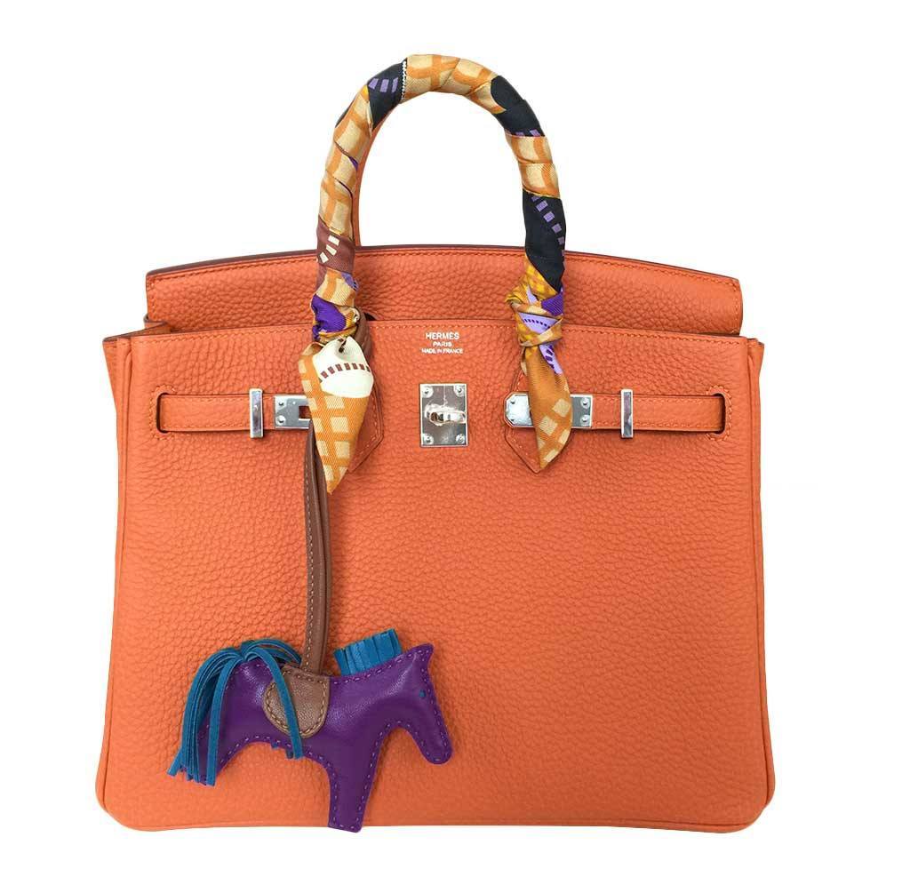 Hermes Birkin 25 Feu Clemence Bag