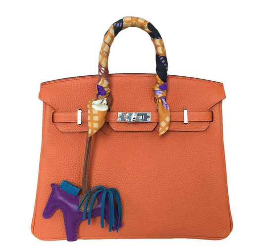 Hermes Birkin 25 Feu Clemence Bag