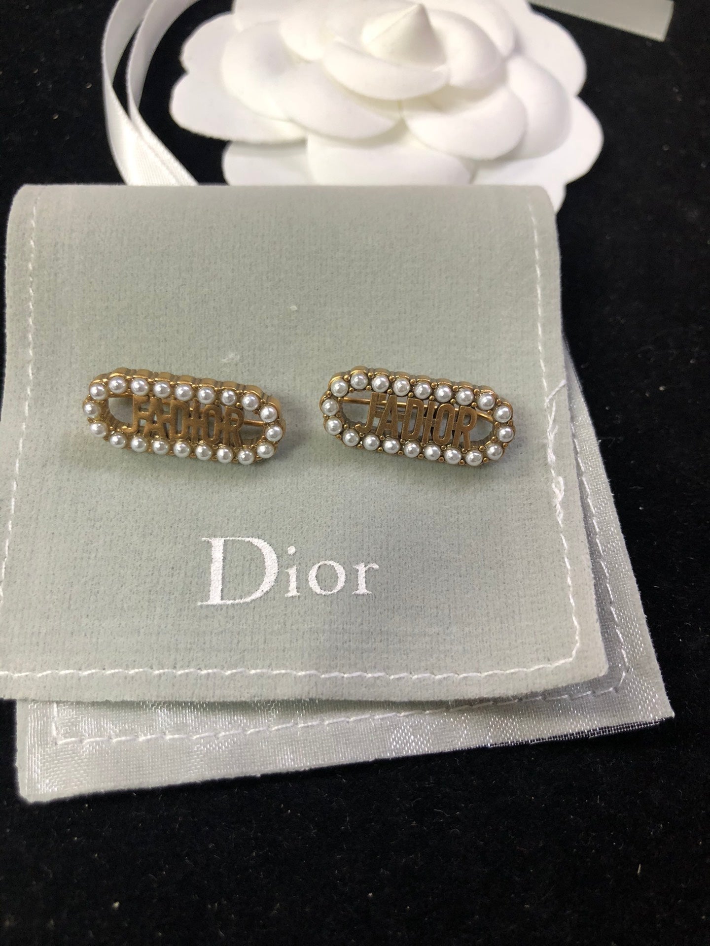 Christian Dior Earring 019