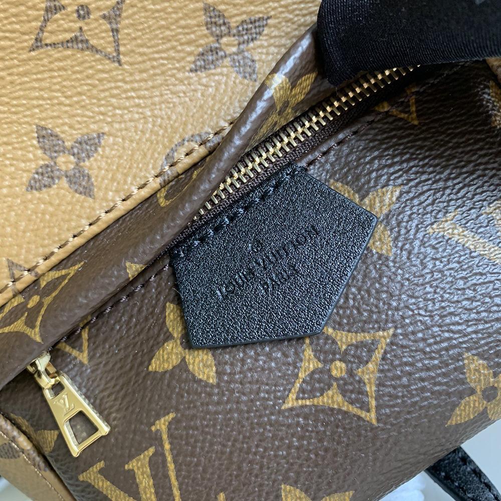 Louis Vuitton backpack palm springs mini