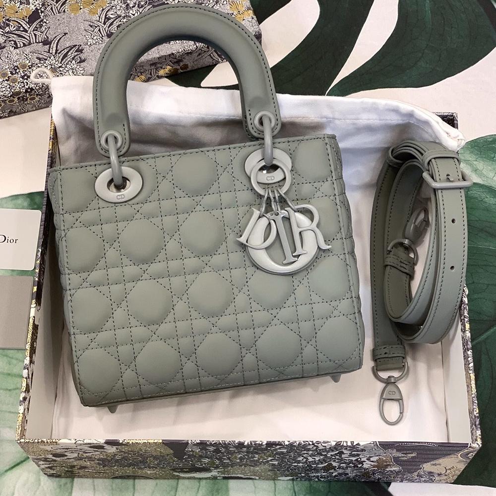 Small Christian  Dior BAG