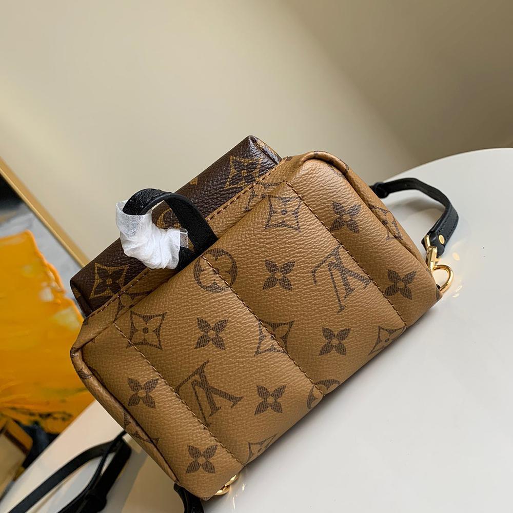 Louis Vuitton backpack palm springs mini