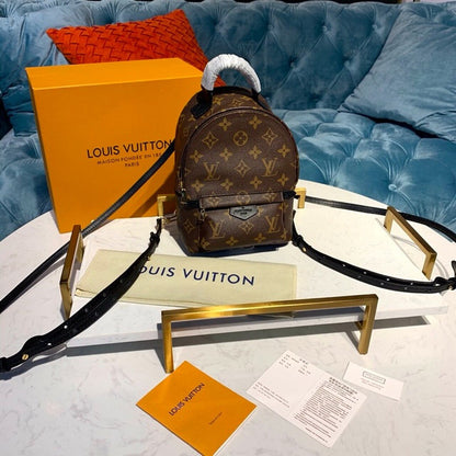 Louis Vuitton Palm Springs Mini Backpack Bag