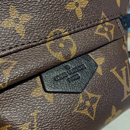 Louis Vuitton Palm Springs Mini Backpack Bag