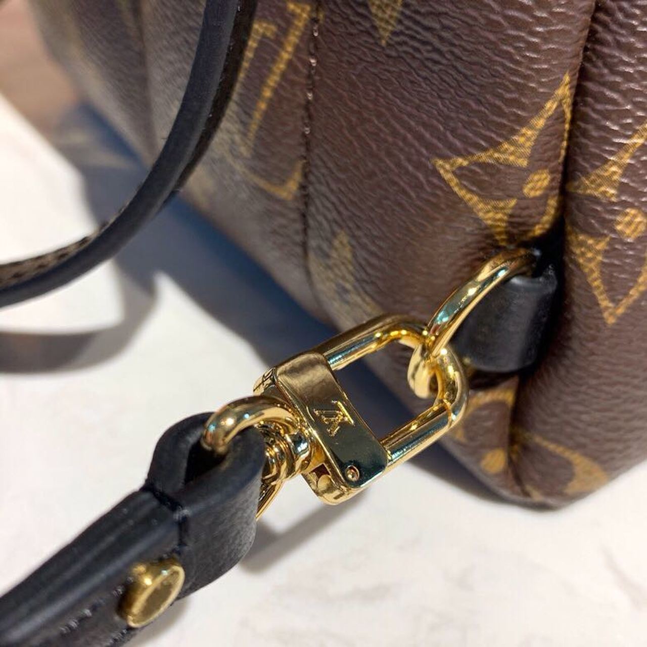 Louis Vuitton Palm Springs Mini Backpack Bag