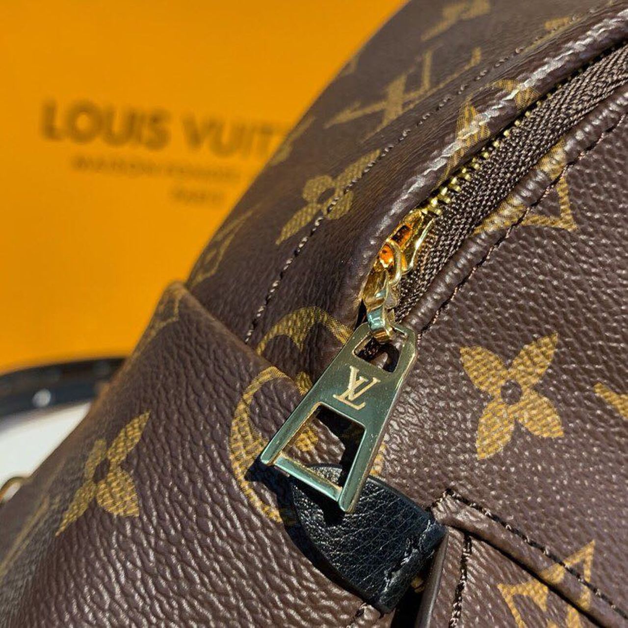 Louis Vuitton Palm Springs Mini Backpack Bag