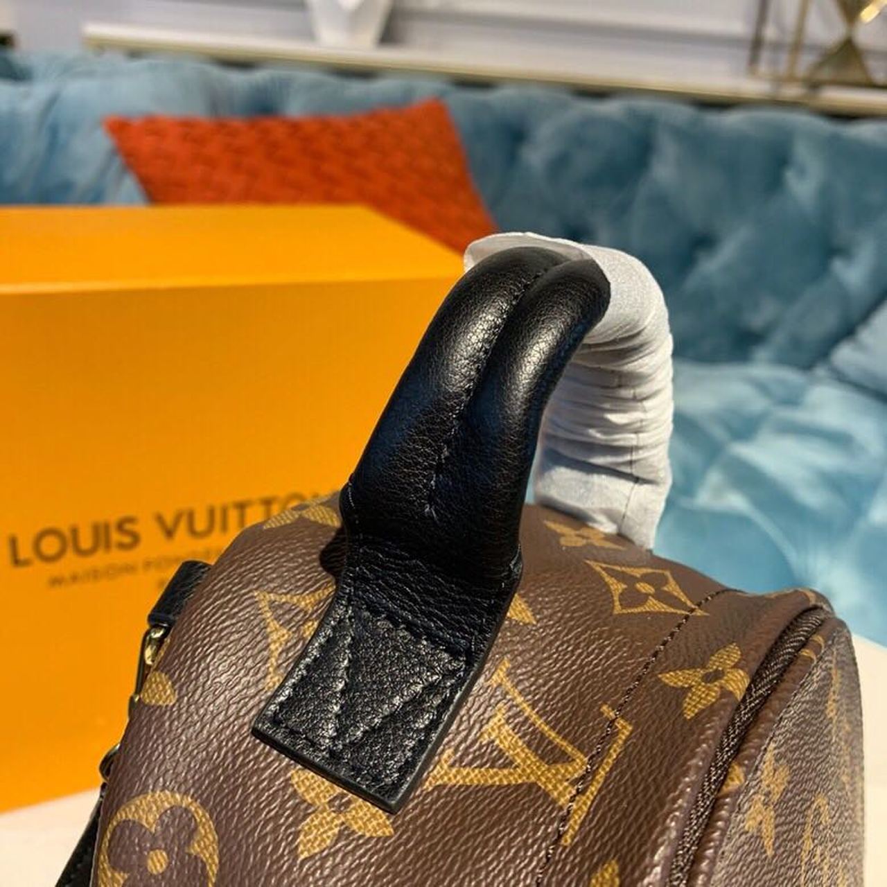 Louis Vuitton Palm Springs Mini Backpack Bag