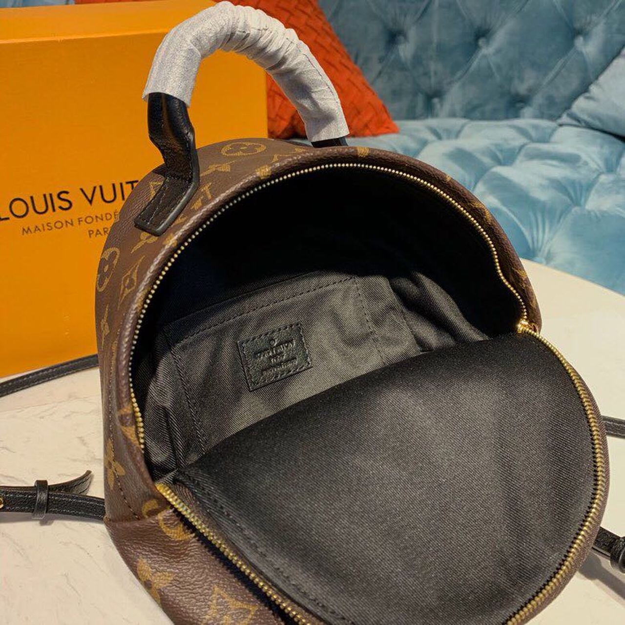 Louis Vuitton Palm Springs Mini Backpack Bag