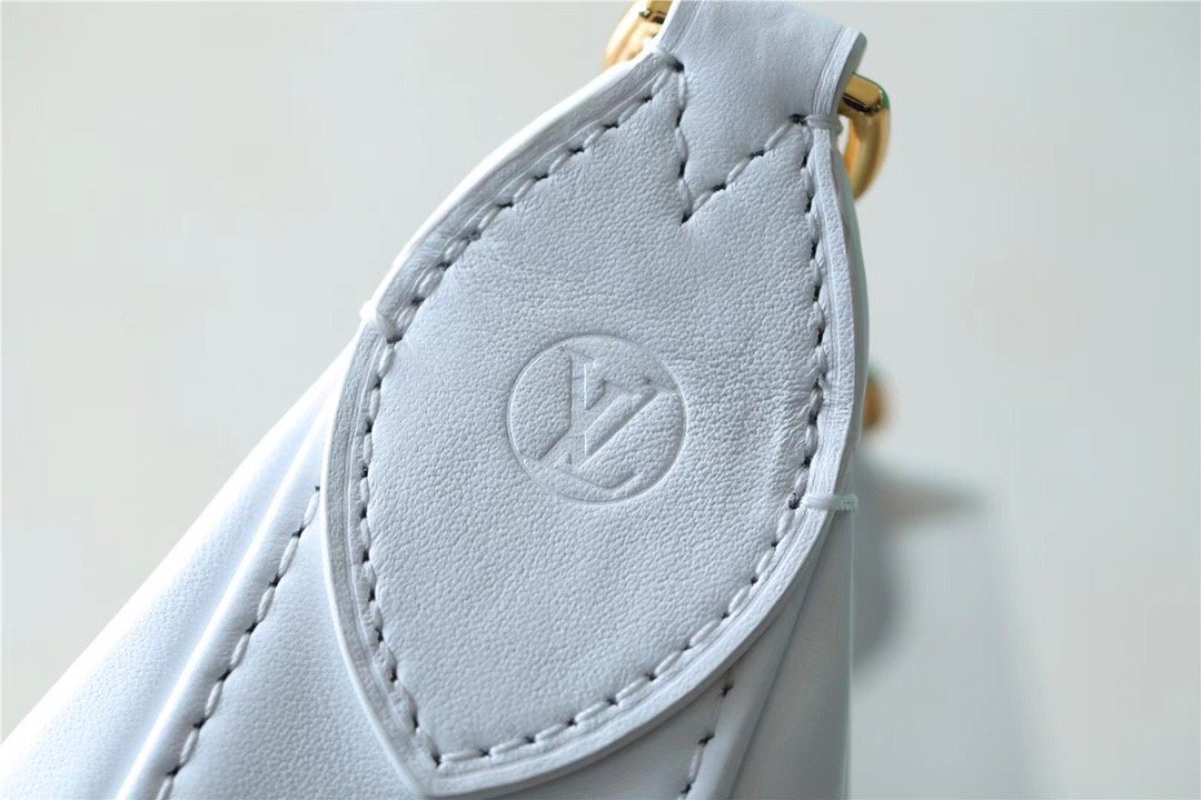 Louis Vuitton Over The Moon Bag Handbags  In Snow White