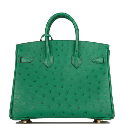 Hermes Special Order (HSS) Birkin 25 Vert Vertigo Verso Ostrich Gold Hardware