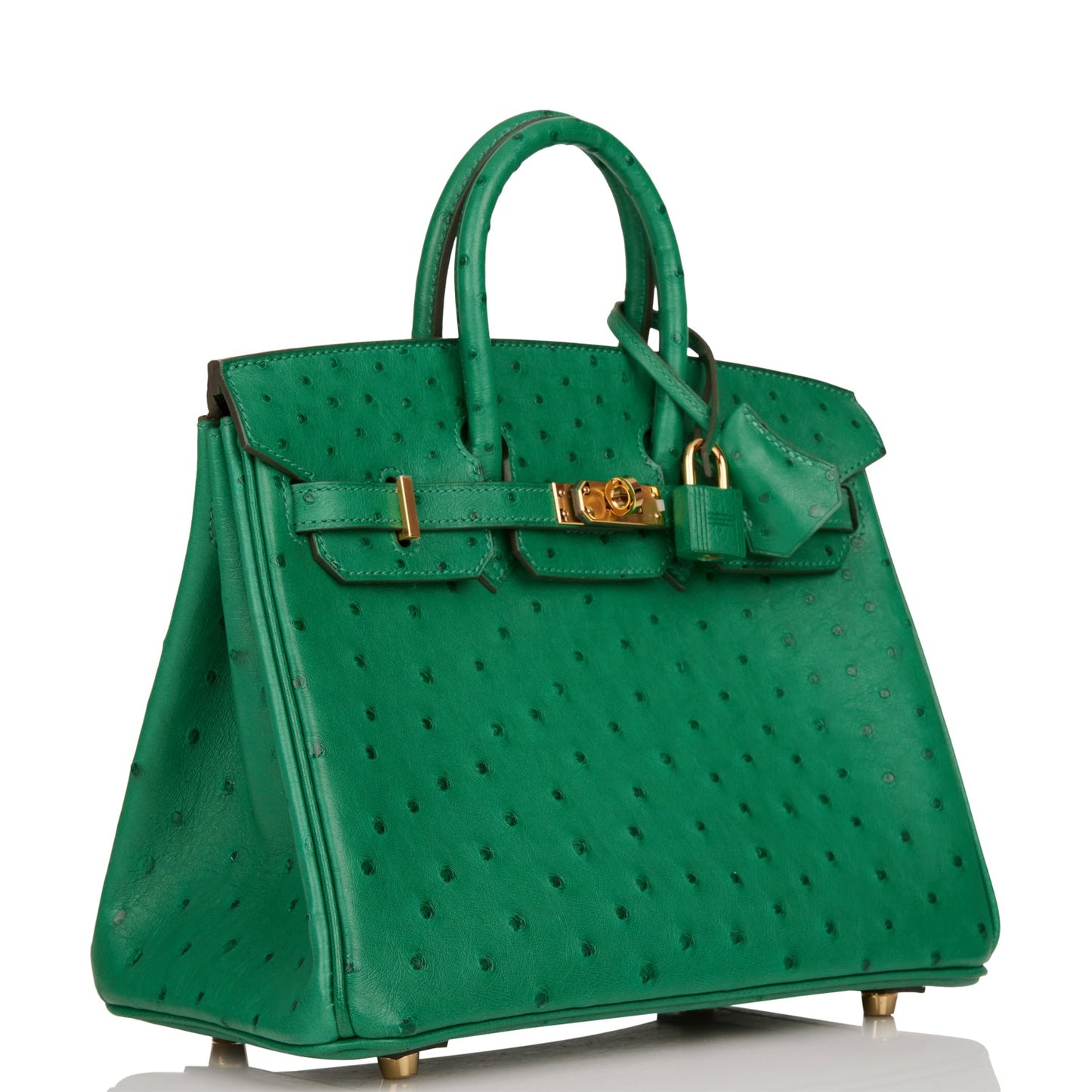 Hermes Special Order (HSS) Birkin 25 Vert Vertigo Verso Ostrich Gold Hardware