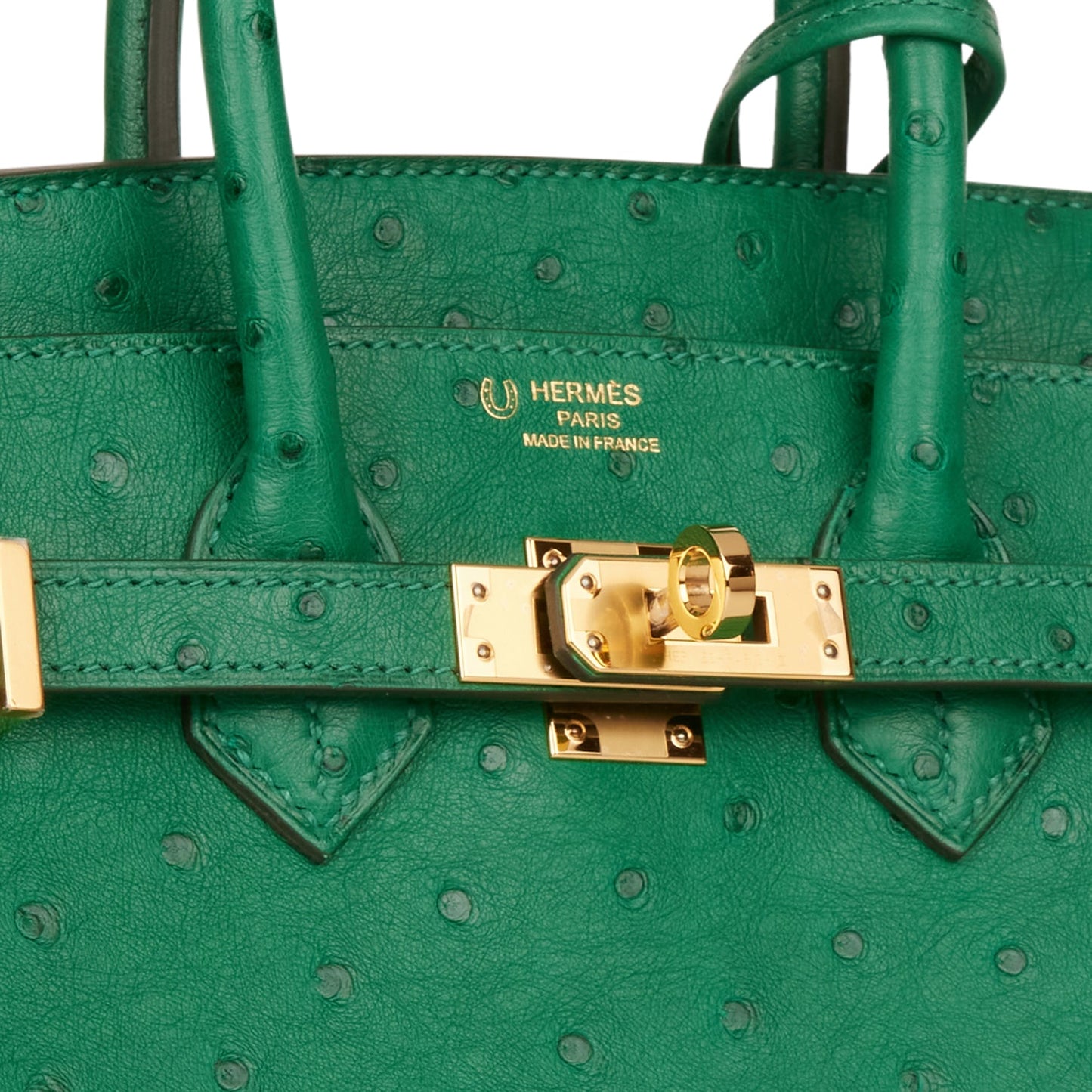 Hermes Special Order (HSS) Birkin 25 Vert Vertigo Verso Ostrich Gold Hardware