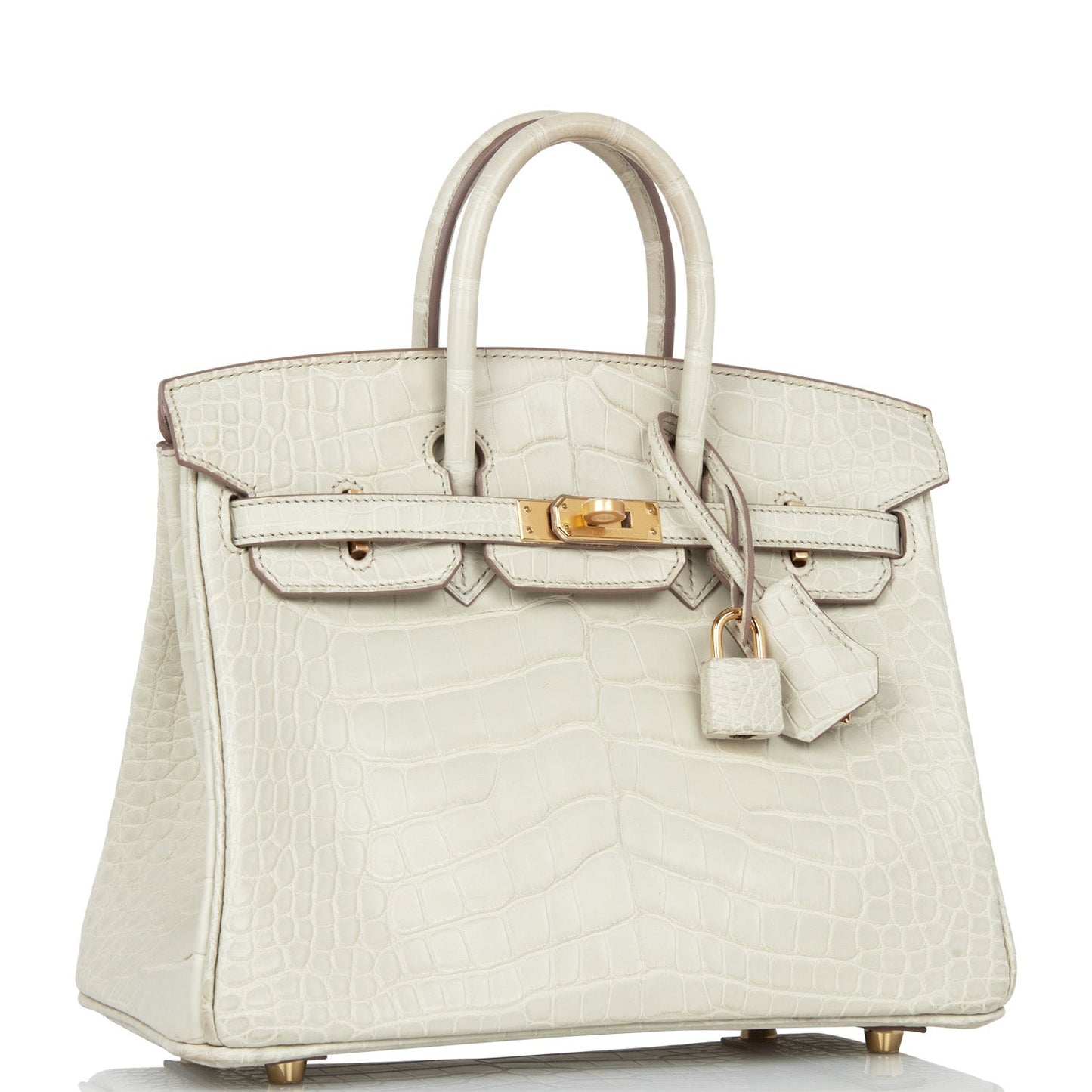 Hermes Birkin 25 Beton Matte Alligator Gold Hardware