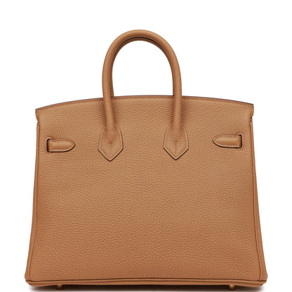 Hermes Birkin 25 Biscuit Togo Gold Hardware