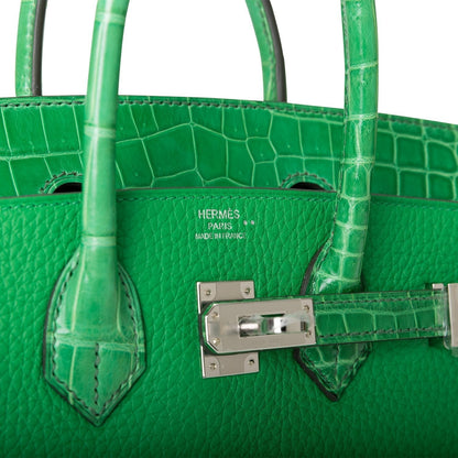 Hermes Birkin 25 Bambou Shiny Alligator and Togo Touch Palladium Hardware