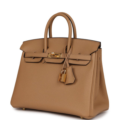 Hermes Birkin 25 Chai Togo Gold Hardware