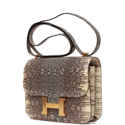 Hermes Mini Constance 18 Ombre Lizard Varanus Gold Hardware