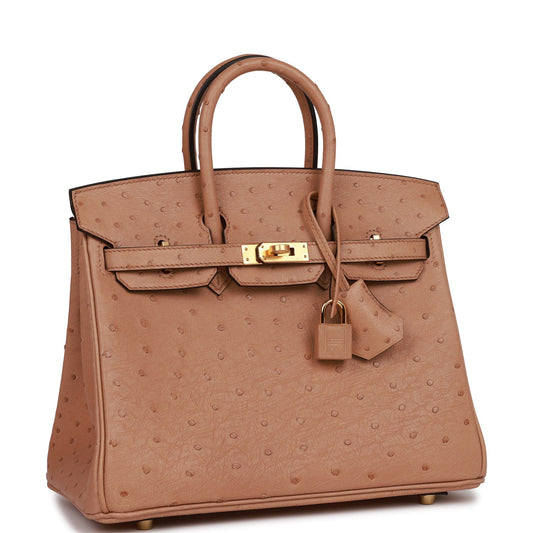 Hermes Birkin 25 Chai Ostrich Gold Hardware