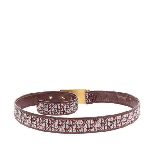 CHRISTIAN DIOR Belt in Bordeaux Fabric