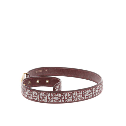 CHRISTIAN DIOR Belt in Bordeaux Fabric