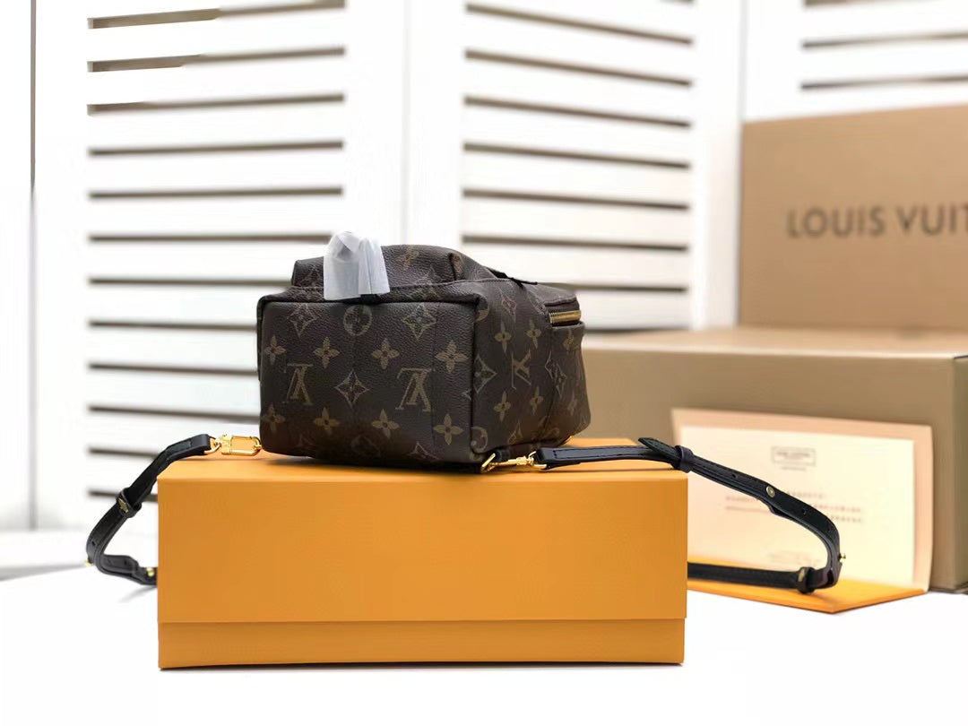 Louis Vuitton Palm Springs Mini Monogram Canvas  Handbags