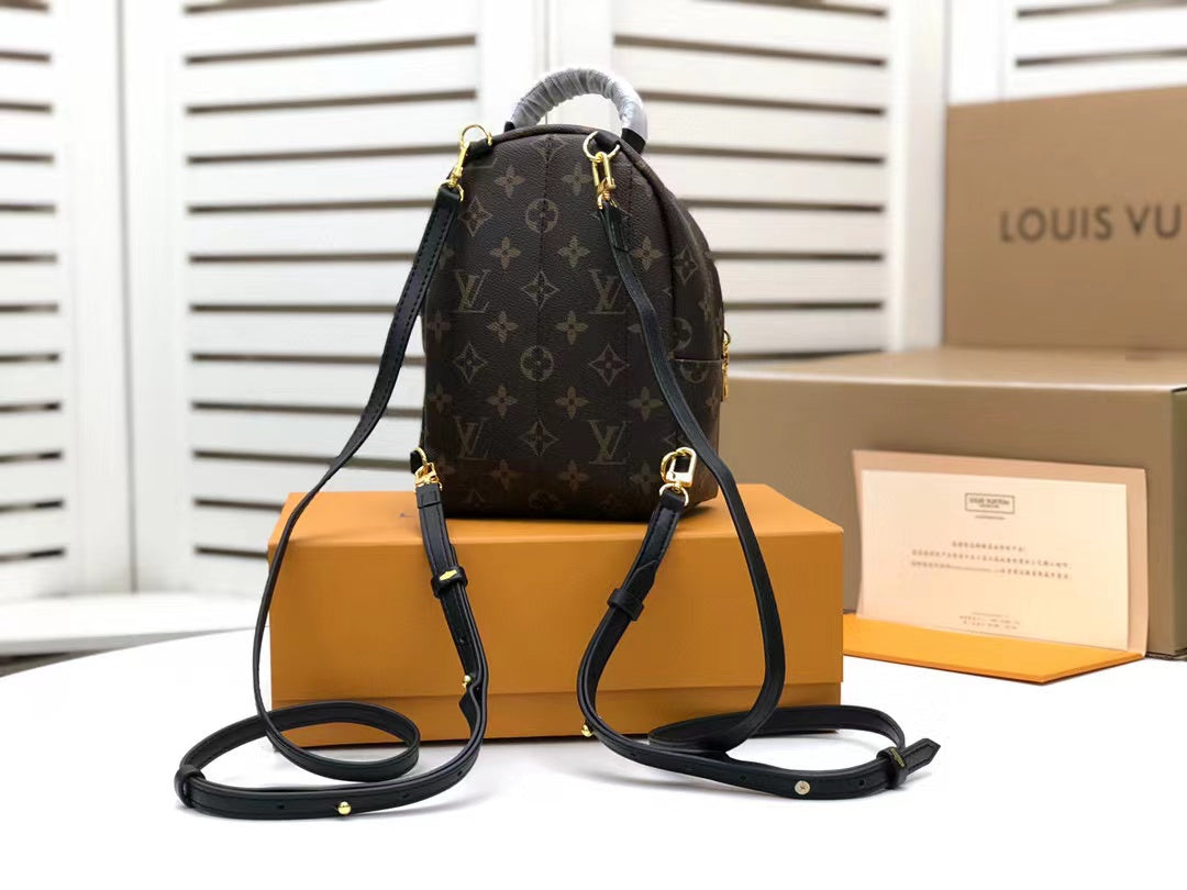 Louis Vuitton Palm Springs Mini Monogram Canvas  Handbags