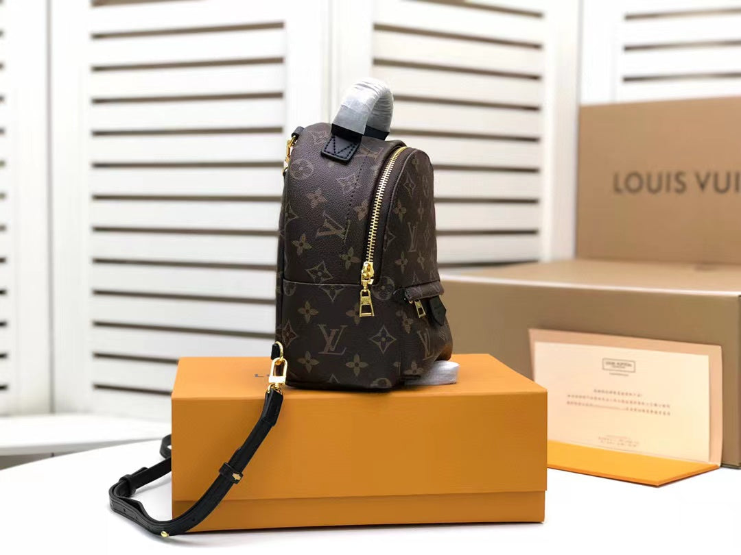 Louis Vuitton Palm Springs Mini Monogram Canvas  Handbags