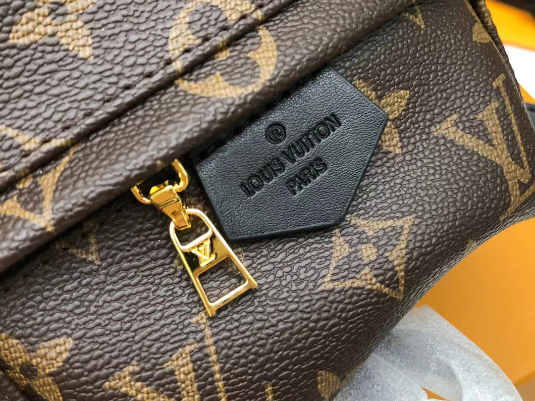 Louis Vuitton Palm Springs Mini Monogram Canvas  Handbags