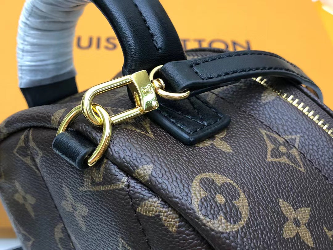 Louis Vuitton Palm Springs Mini Monogram Canvas