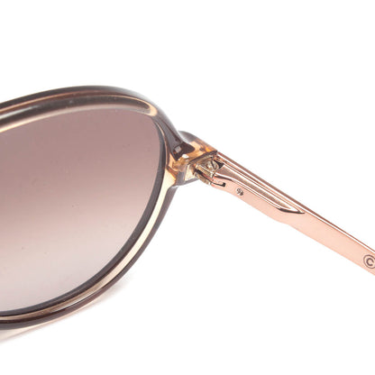 DIOR Oversized Tinted Sunglasses