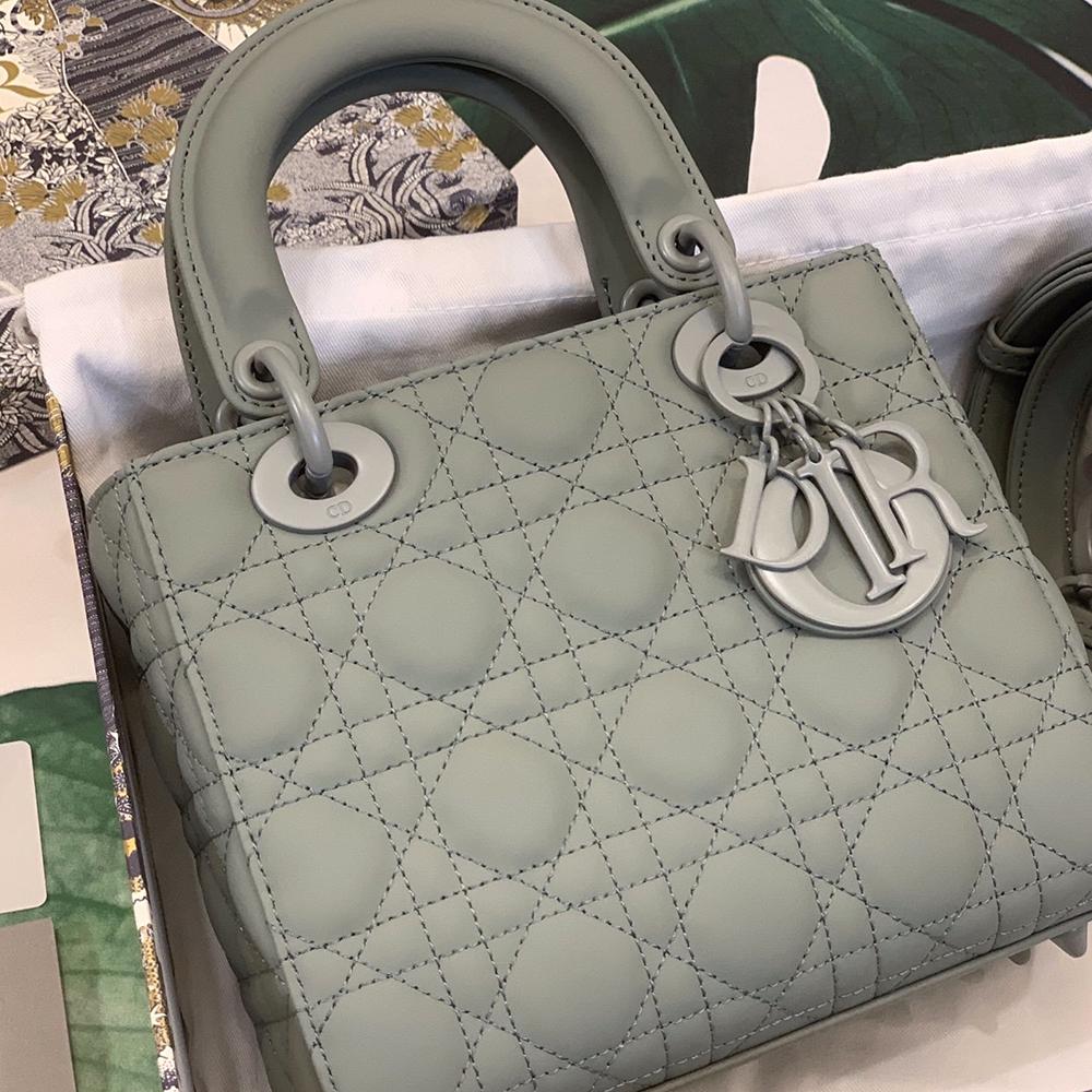 Small Christian  Dior BAG