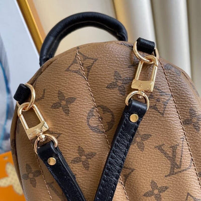 Louis Vuitton Palm spring Mini bag