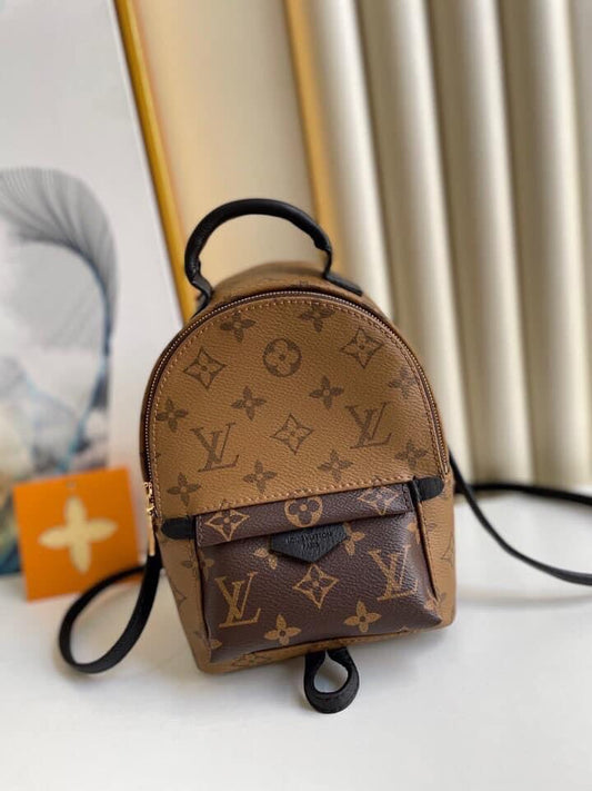 Louis Vuitton Palm spring Mini bag