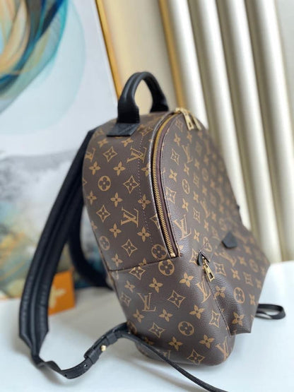 Louis Vuitton Palm Spring Mini Bag