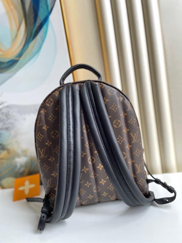 Louis Vuitton Palm Spring Mini Bag