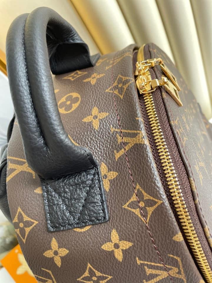 Louis Vuitton Palm Spring Mini Bag