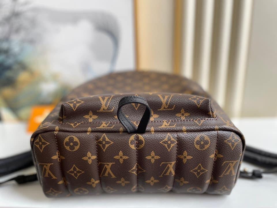 Louis Vuitton Palm Spring Mini Bag