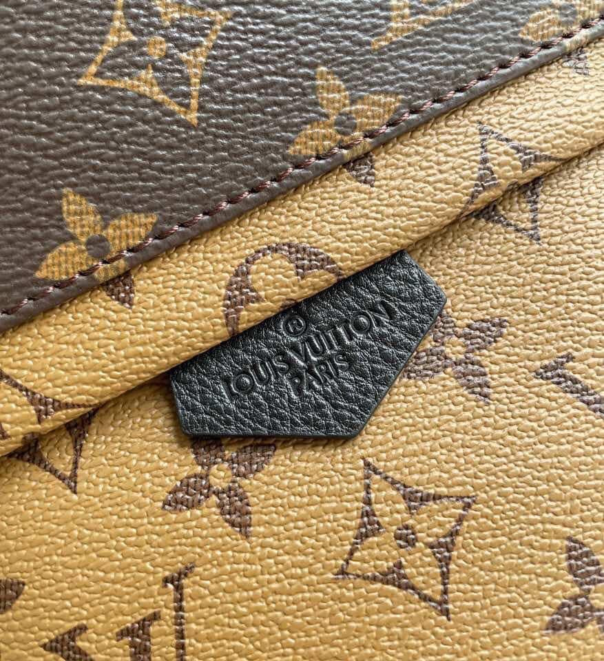 Louis Vuitton Palm Spring PM bag