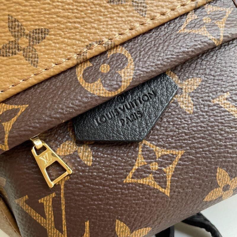 Louis Vuitton Palm spring Mini bag