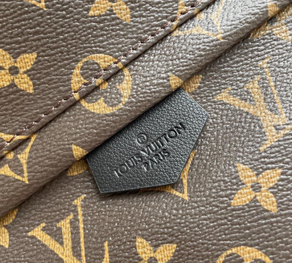 Louis Vuitton Palm Spring Mini Bag