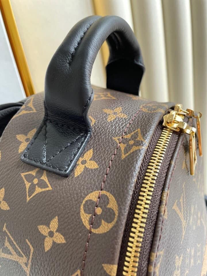 Louis Vuitton Palm Spring PM bag