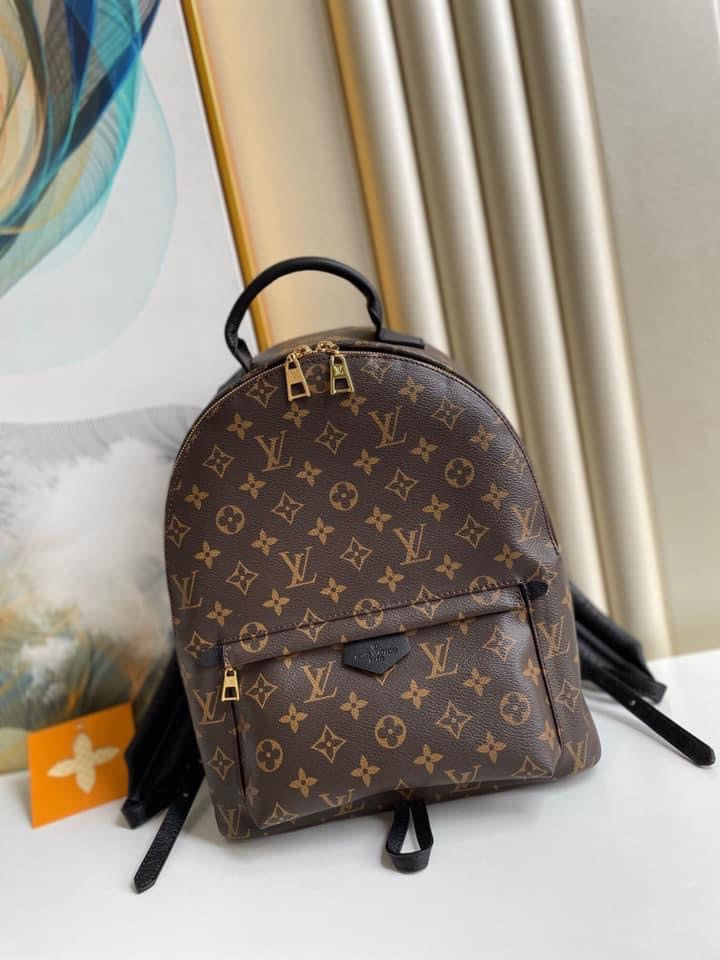 Louis Vuitton Palm Spring Mini Bag